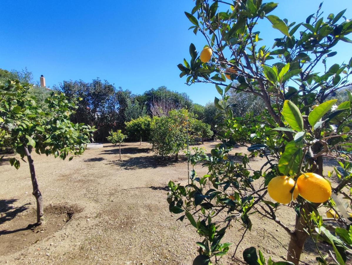 Rhodes Soul Iuxury Home Ασγούρου Εξωτερικό φωτογραφία